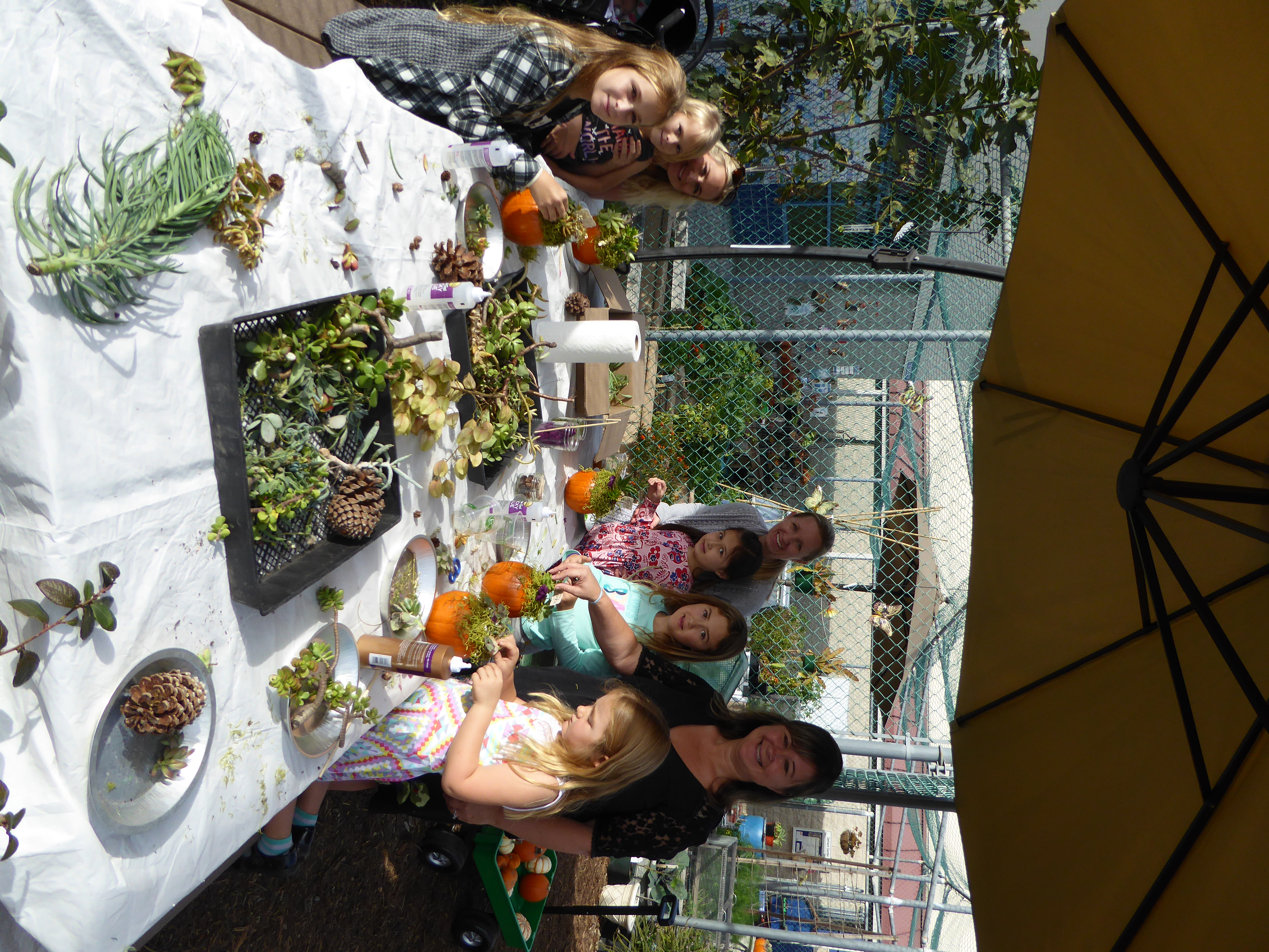 Family fun in the garden!