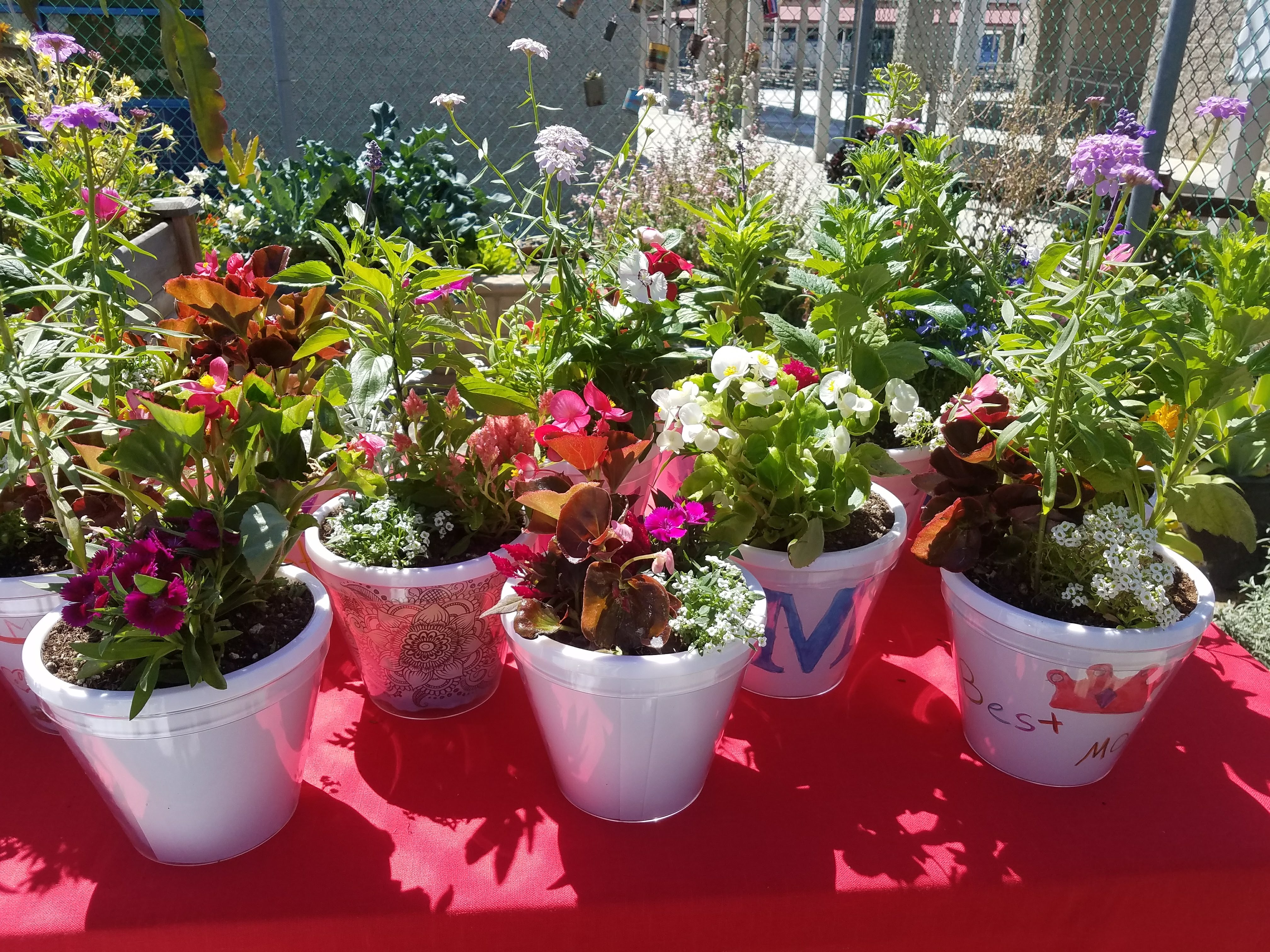 Mother's Day Flower Pots