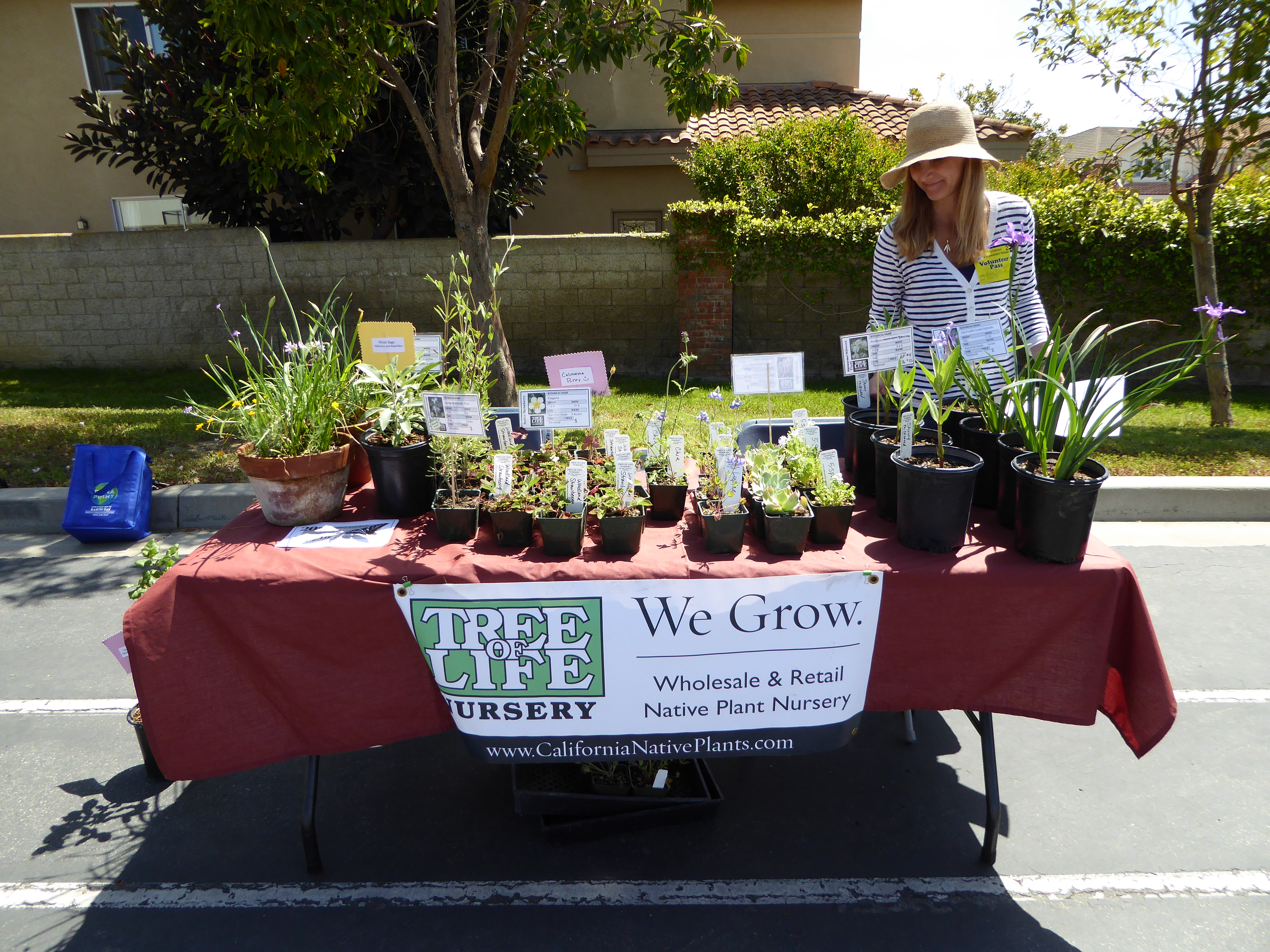 Tree of Life Nursery