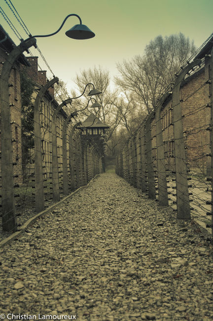 Auschwitz II-Birkenau
Oswiecim, Poland
