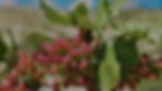 Diseño sin título (21)_edited.jpg