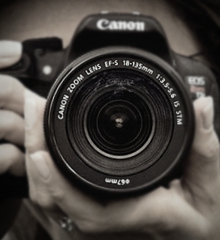 Writer: L'ESSENCE STUDIOS