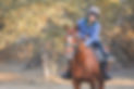 Me on a horse in the African bush