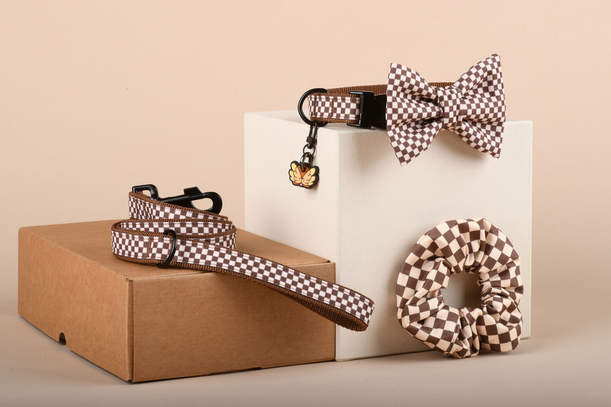 BOX DOG MOM Grand Prix