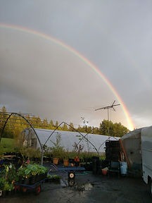 Rainbow in the Nursery.jpg