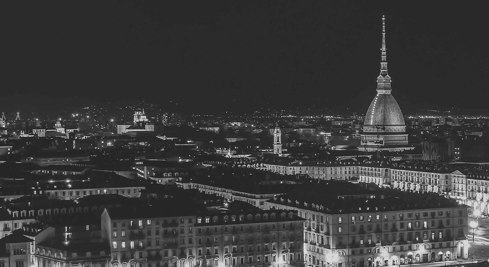 www.gin-zone.com Gin Zone, Il gin di Torino, Murazzi, San Salvario, Quadrilatero Romano
