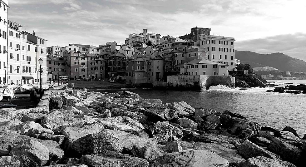 Gin Zone - Il Gin di Genova, Boccadasse, Nervi