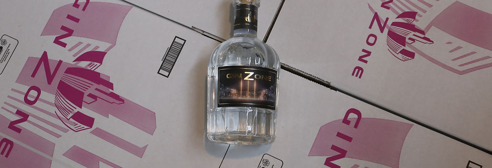 bottiglia gin zone scatola per locali.JPG