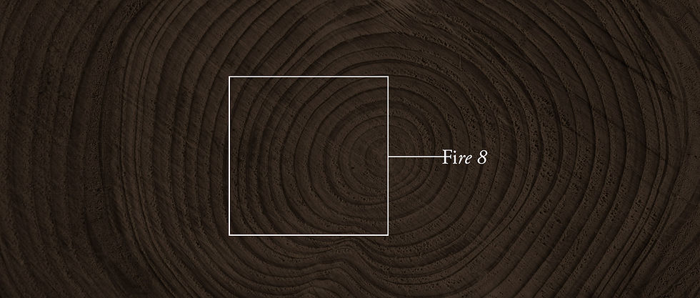 ring-background.jpg
