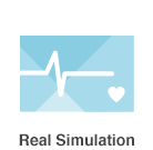 real-world-simulation.png