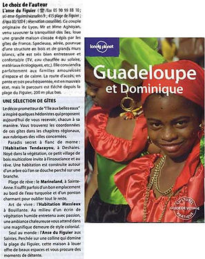 referencement-gite-anse-figuier-lonely-p