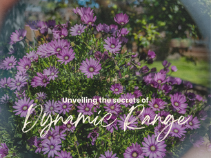 Unveilling the Secrets of Dynamic Range in Photography