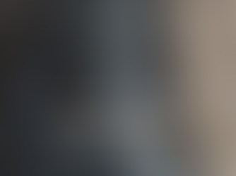 Understanding Your Camera's Focus Modes