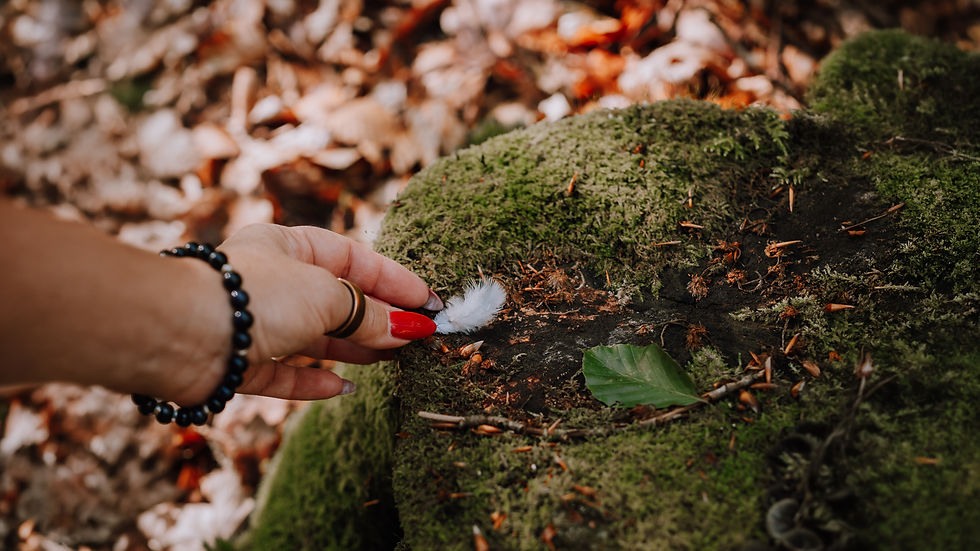 En hand håller en liten vit fjäder mot mossbeklädd sten i skogen – en symbol för närvaro, lugn och att sakta komma hem till sig själv genom Pure Imperfection.
