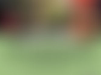 מה בספרייה?