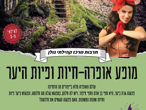 מה בספרייה?