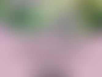 קיץ קיץ כמה חם