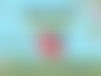 שעות פתיחה ושאר ירקות