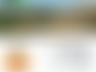 בשבוע הבא בספרייה