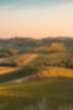 The hills of Tuscany at sunset with vineyards and crops.