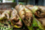 Rolled bundles of dried leaves, showcasing a mix of green and brown hues, arranged on a wooden surface in a rustic setting.