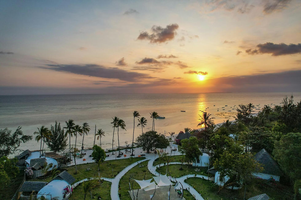 A vibrant sunset casts warm hues over a tranquil beach, with palm trees silhouetted against the colourful sky. The ocean reflects the afterglow, and gentle waves lap at the shore, creating a serene vacation landscape.
