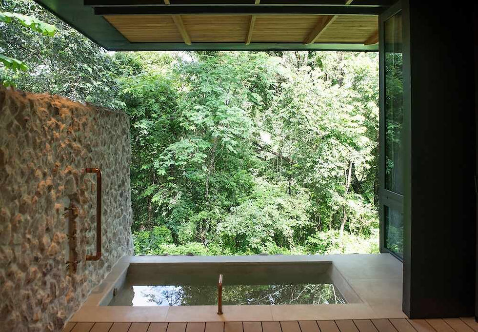 Indoor stone bath with copper fixtures overlooks lush green forest. Open wooden ceiling and glass door create a serene, nature-immersed ambiance.