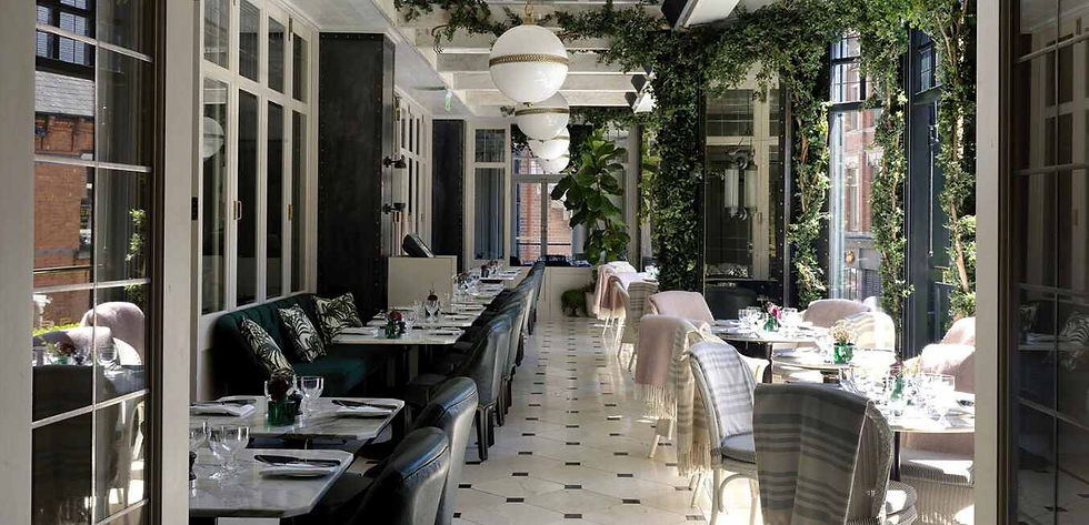 Sunlit restaurant interior with elegant, black and white tiled floor, green velvet seating, large windows, lush hanging plants, and white globe lights.