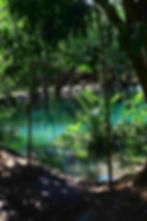 A serene forest scene with vibrant green foliage surrounding a tranquil, clear blue pond, reflecting sunlight and nature's beauty.