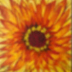 Sun Flower