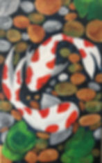 Koi Fish_1