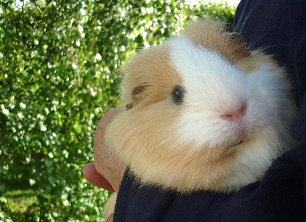 P1050624.JPG