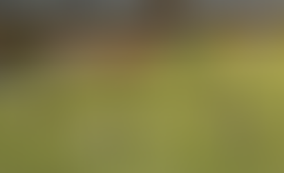 Copa do Brasil 2026: Veja como foi a 2ª participação do Capital na competição