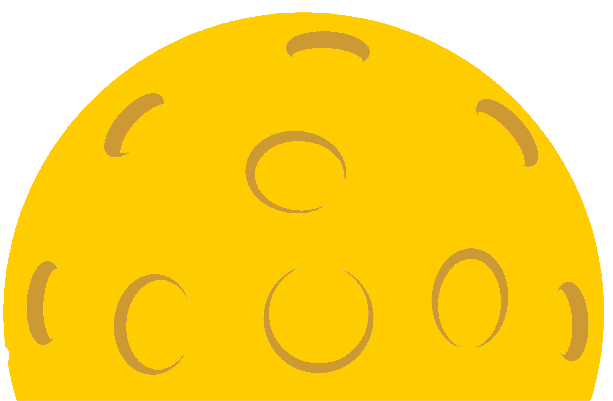 pickleballlogo-copy.gif