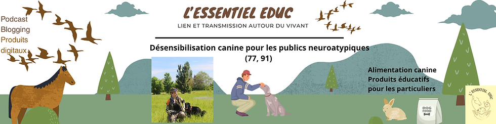 Bandeau l'Essentiel Educ