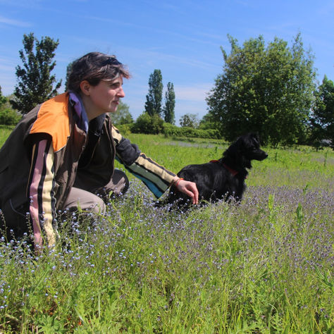 En quoi consiste le travail du comportementaliste canin ? 