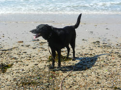 Léna à la plage