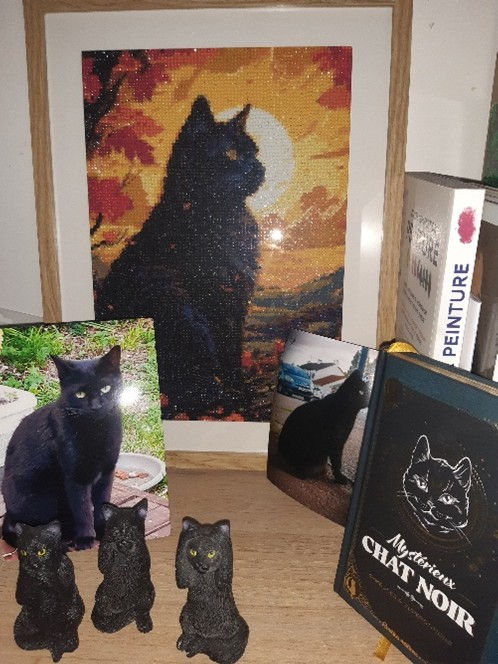 Tableau et photos de chats noirs, statuettes noires, livre "Mystérieux Chat Noir". Fond avec peinture et coucher de soleil. Ambiance mystérieuse.