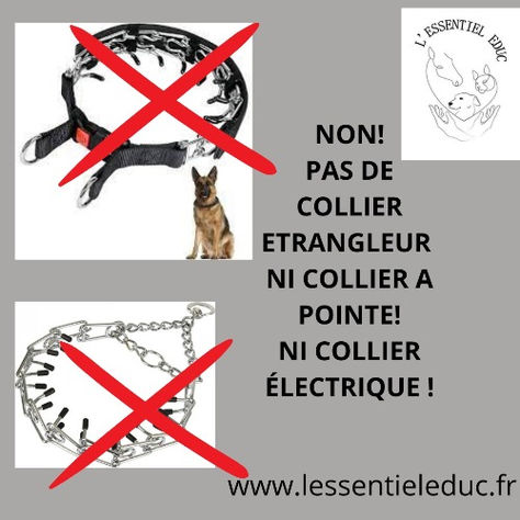 Pourquoi je rejette l'utilisation du collier électrique.