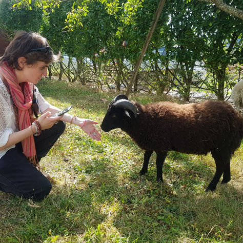 Quels sont les bienfaits de faire une communication animale ?
