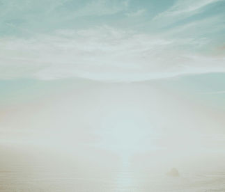 pexels-shotbyrain-3010198_edited.jpg