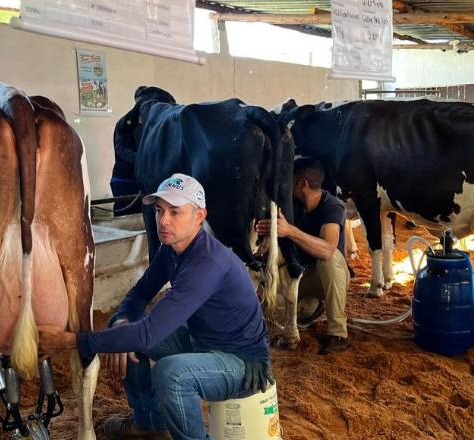 Expo Feira de Gado Leiteiro de Torreões celebra 40 anos com shows, torneio e programação para toda a família