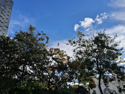 Semana será de tempo firme e temperaturas amenas em Juiz de Fora e região