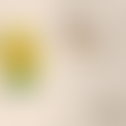 Arquidiocese de JF divulga nota oficial sobre suspensão do Instagram da instituição