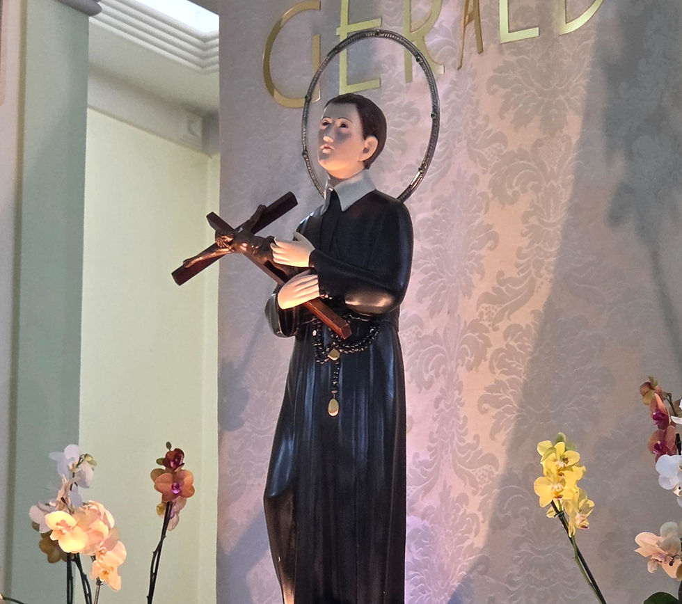 Paróquias e comunidades celebram São Geraldo, exemplo de cuidado com o próximo