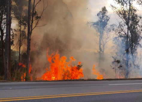 BR-040: Concessionária alerta para riscos de incêndios às margens da rodovia nesta época do ano