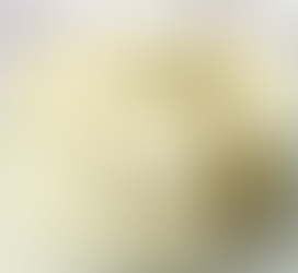 Evento reforça papel de Juiz de Fora na produção de queijo minas frescal, charcutaria e setor têxtil