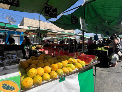 Prefeitura abre inscrições para vagas em sete novas feiras livres em Juiz de Fora