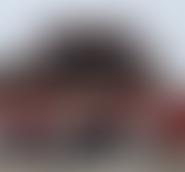 Prefeita detalha resultado de missão oficial de delegação de Juiz de Fora à China