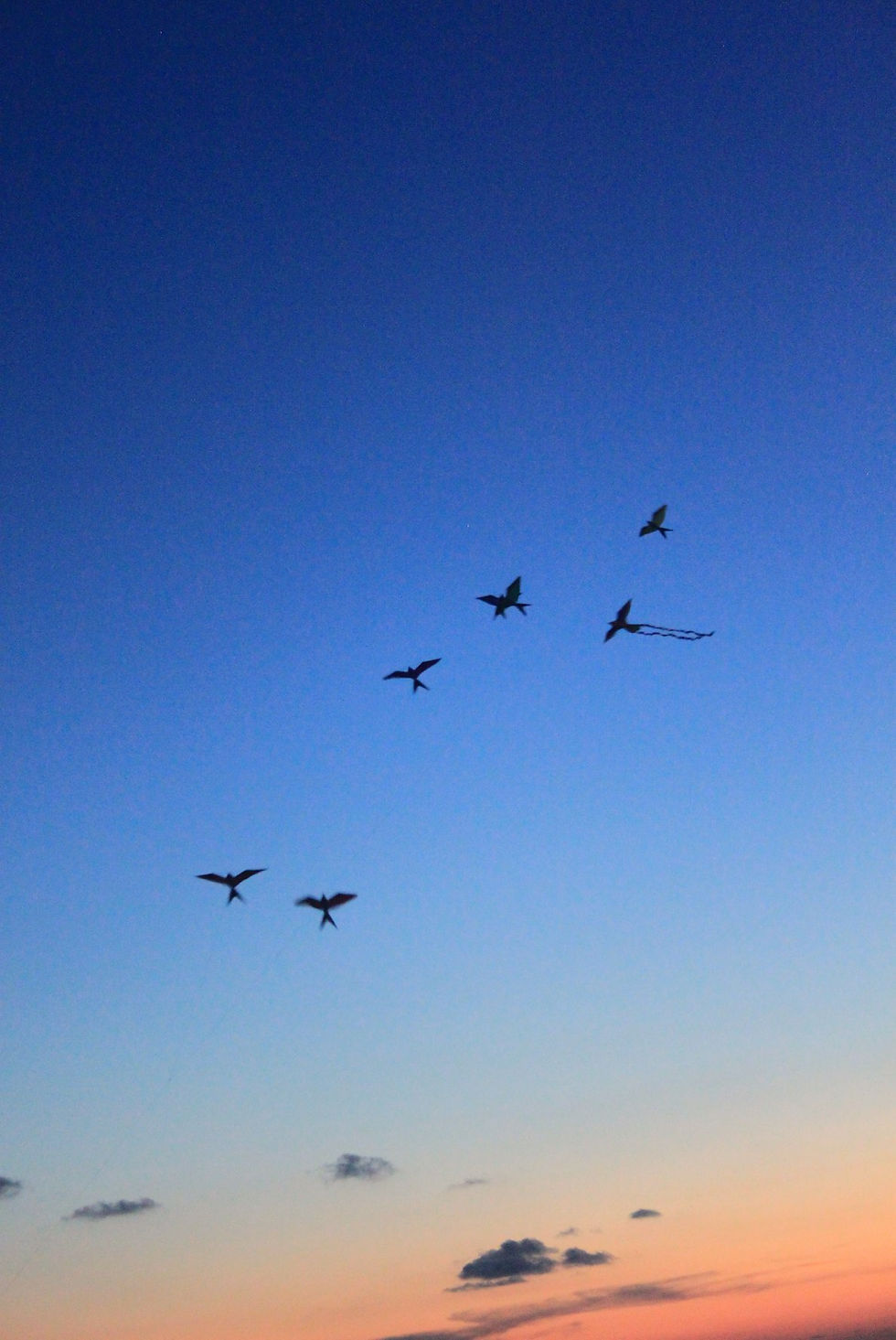 RIbbons in the Sky 2018